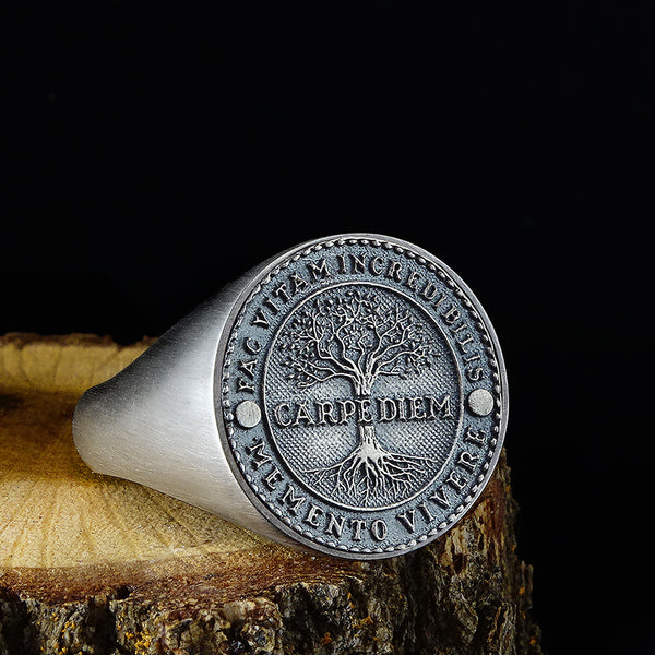 carpe diem ring silver